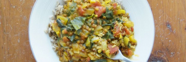 Spinach, lentil and coconut milk curry